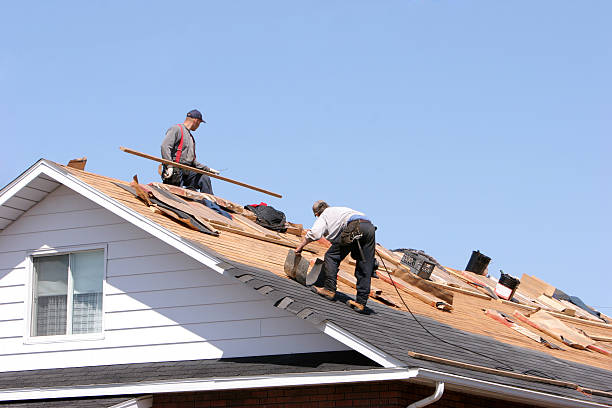 Best Gutter Installation and Repair  in Athens, TX